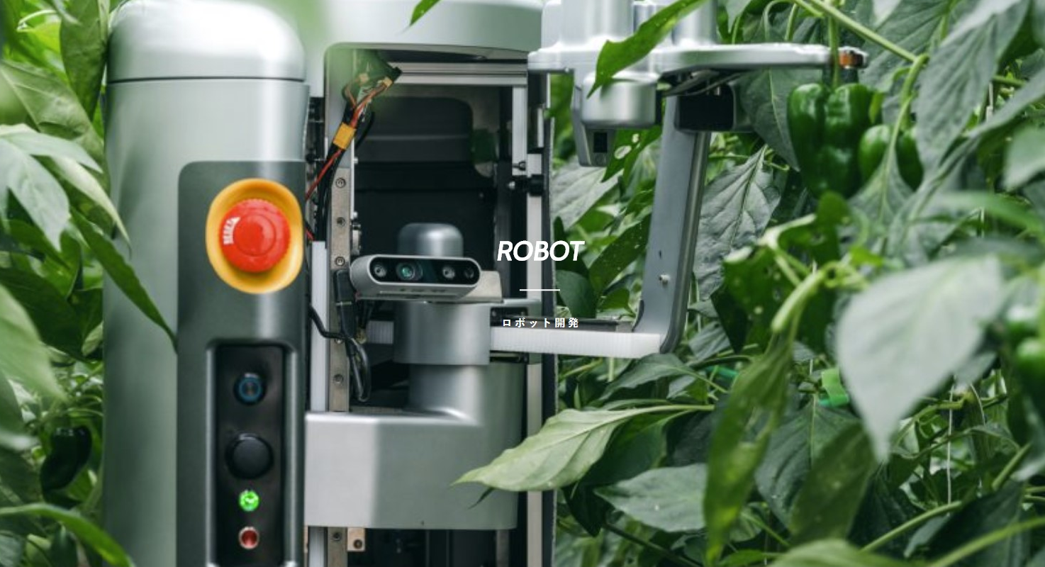 ピーマン収穫ロボット